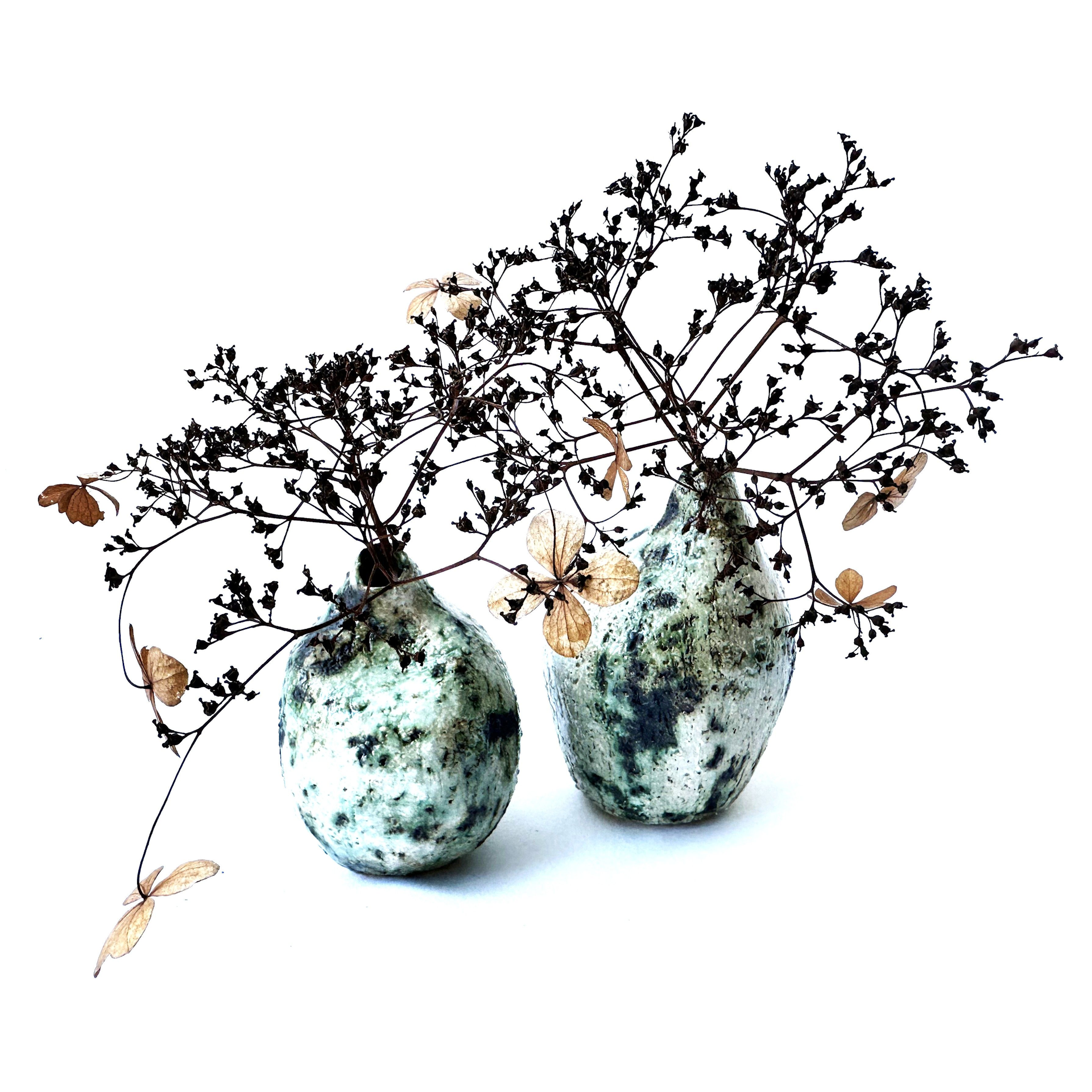 IBC 10cm Seedpod vases